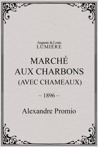 Marché aux charbons (avec chameaux)