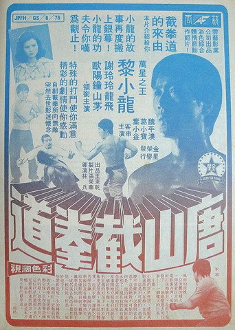 Okładka filmu 唐山截拳道
