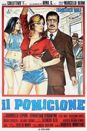 Okładka filmu Il pomicione
