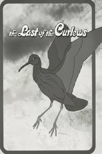 The Last of the Curlews