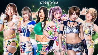 Stardom in Sendai 2024