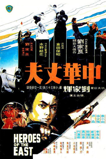 Okładka filmu Shaolin kontra Ninja
