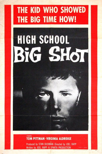 High School Big Shot 在线观看和下载完整电影