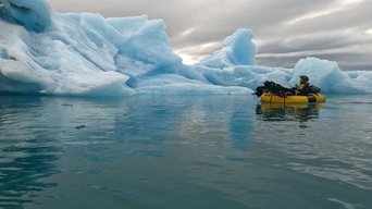 Capa de The Forgotten Coast