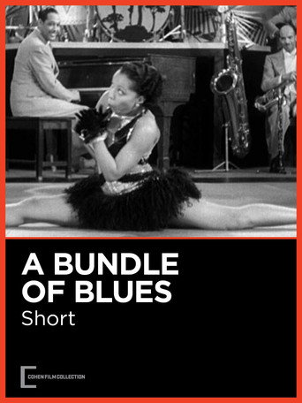 A Bundle of Blues 在线观看和下载完整电影