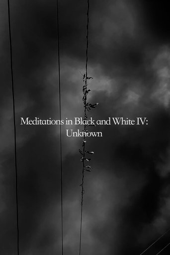 Meditations in Black and White IV: Unknown