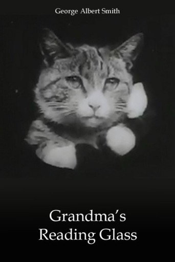 Grandma's Reading Glass 在线观看和下载完整电影