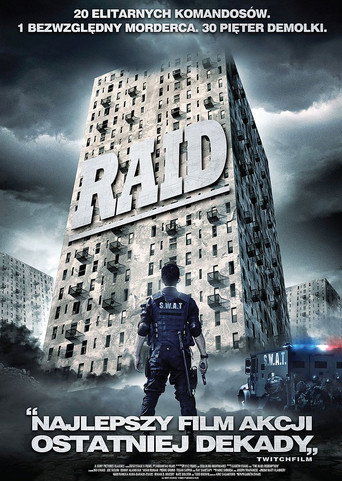Okładka filmu Raid