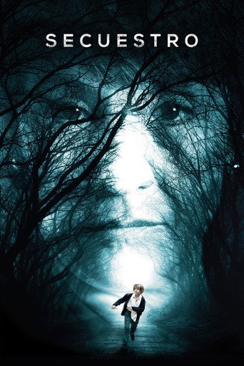 Okładka filmu Zaginiony Chłopiec