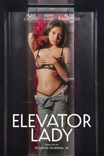 Okładka filmu Elevator Lady