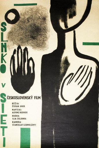 Okładka filmu Slnko v sieti