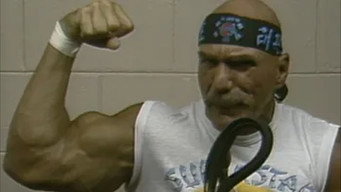Mid-Atlantic Championship Wrestling - Nov. 17, 1984
