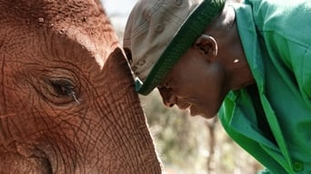 Baby Elephant Rescue