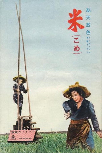 米 在线观看和下载完整电影