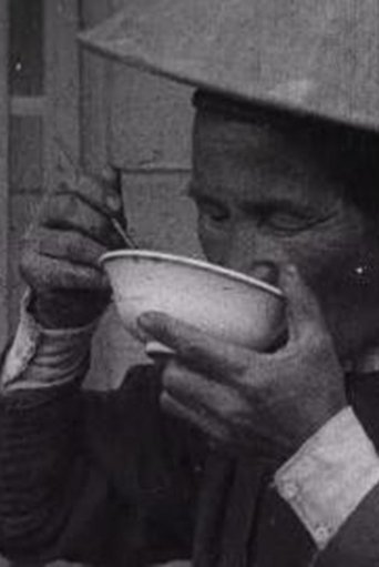 Katsura River, Picturesque Japan