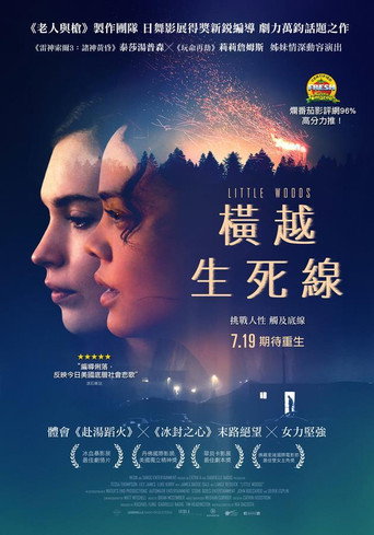 Little Woods 在线观看和下载完整电影