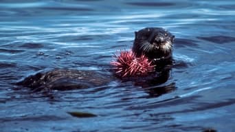 Monterey Bay