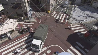 Tokyo's Crossroads of Life