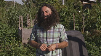 Episode 21: A Lifelong Garden, Trench Composting & Selecting Seedlings