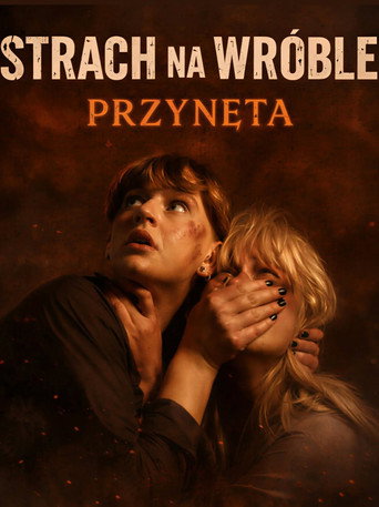 Okładka filmu Strach na wróble: Przynęta