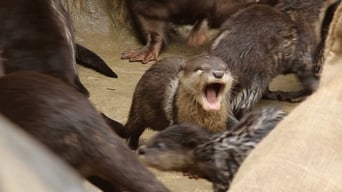 Yawning Otter feat. Parry Gripp