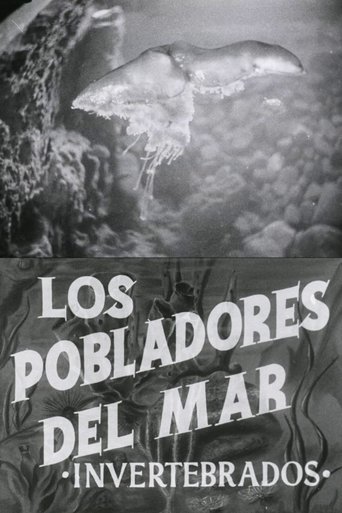 Pobladores del mar: Los invertebrados