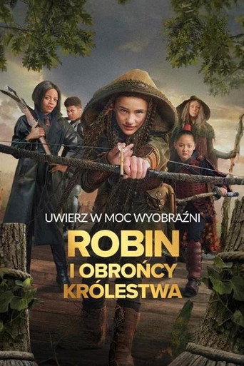 Okładka filmu Robin i obrońcy królestwa