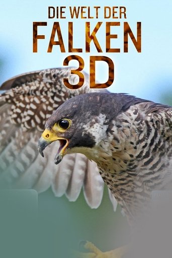Die Welt der Falken 3D