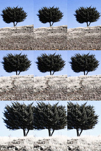 Where is the Final Destination?