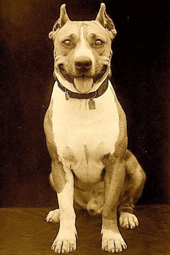 Actor headshot