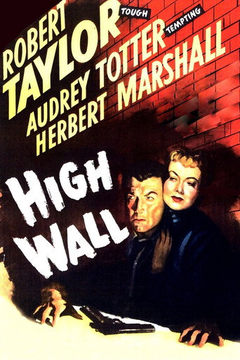 High Wall 在线观看和下载完整电影
