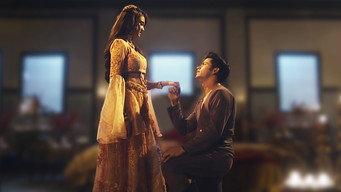 Aladdin Proposes