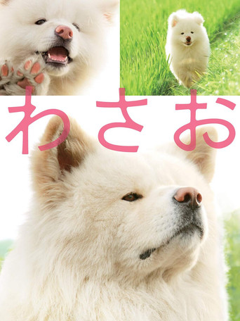 Okładka filmu わさお