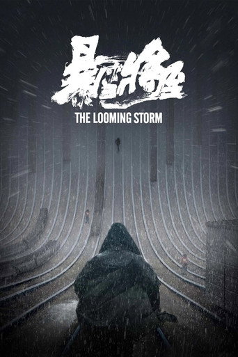 Okładka filmu 暴雪将至