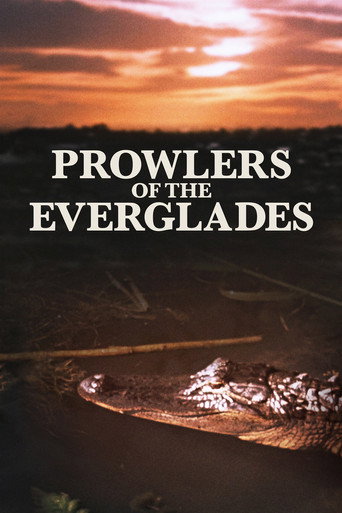 Prowlers of the Everglades 在线观看和下载完整电影