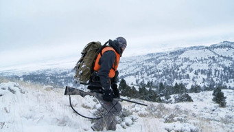 Brotherhood, Badlands and Pack Llamas: Montana Mule Deer