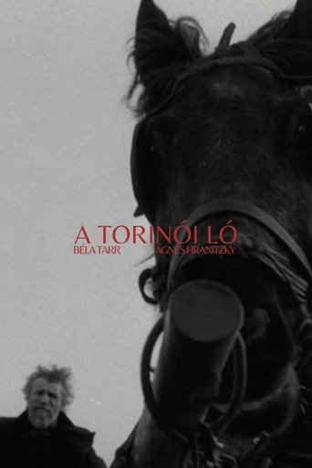 토리노의 말(A torinói ló)