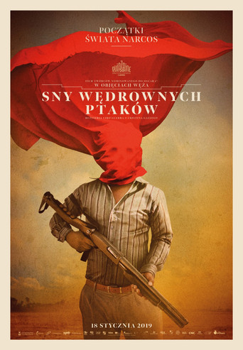 Okładka filmu Sny wędrownych ptaków