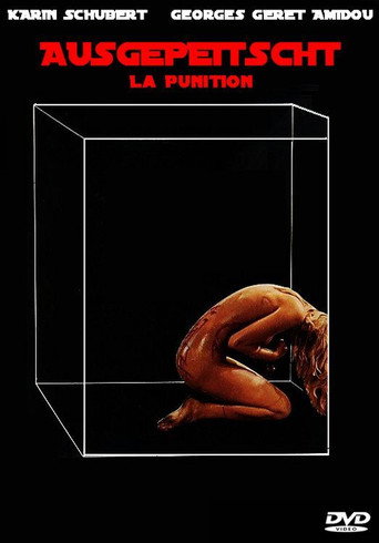 La punition 在线观看和下载完整电影
