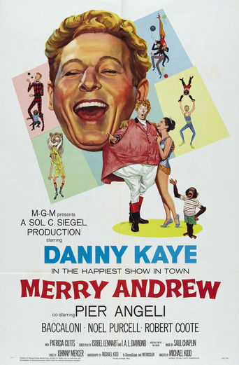 Poster de Merry Andrew