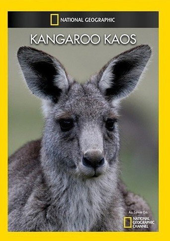 National Geographic: Kangaroo Kaos 在线观看和下载完整电影