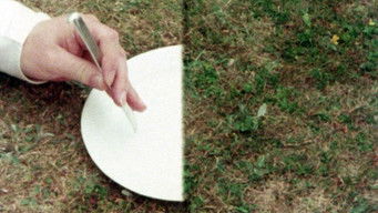 Mathshow: Doctor Where - O for Symmetry!