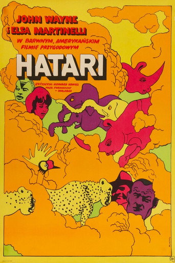Okładka filmu Hatari!
