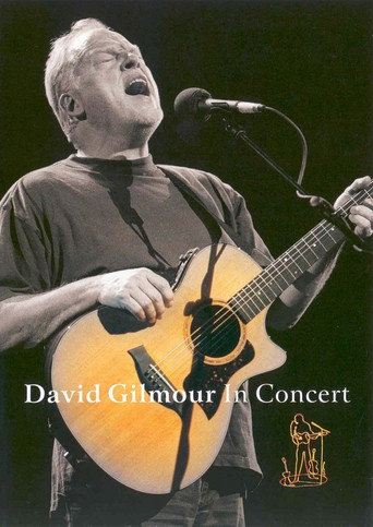 David Gilmour: In Concert 在线观看和下载完整电影