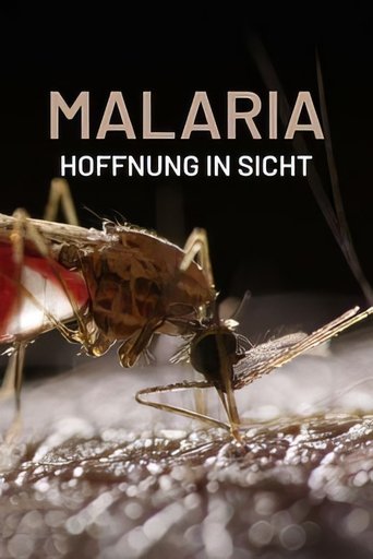 Malaria, Hoffnung in Sicht