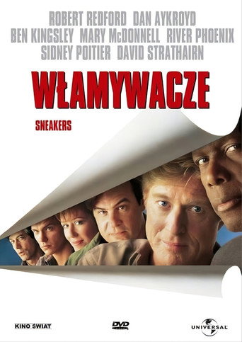 Okładka filmu Włamywacze