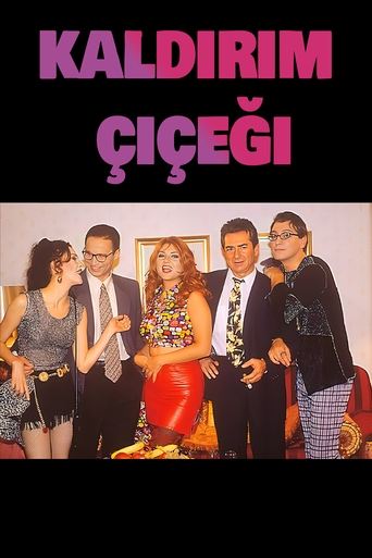 Movie Poster