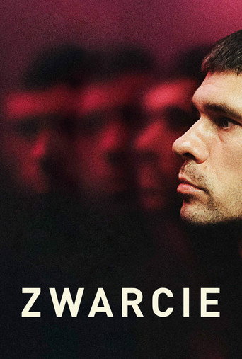 Okładka filmu Zwarcie