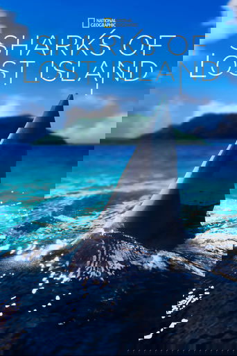 Sharks of Lost Island