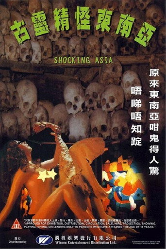 Shocking Asia 在线观看和下载完整电影